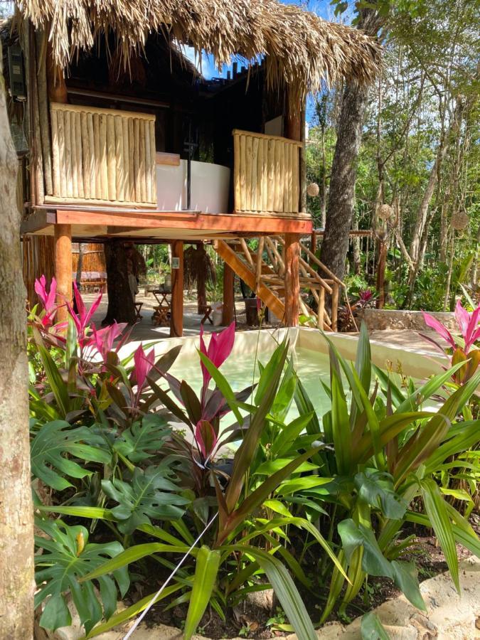 莫雷洛斯港 Nuscaa Boutique Tree House & Spa酒店 外观 照片